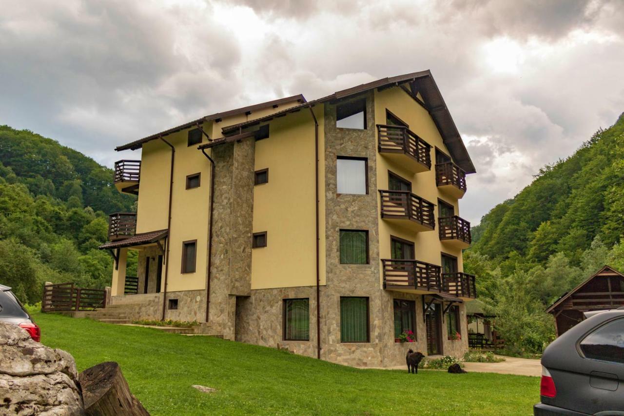 Casa Valea Cernei Hotel Isverna Exterior photo
