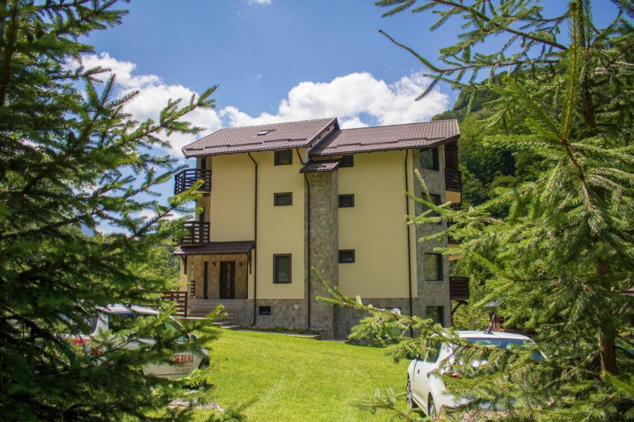 Casa Valea Cernei Hotel Isverna Exterior photo
